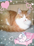 �˥�󥳤��������=^������^=