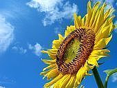 ̴�ϤǤä��������Ϥդ���