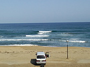 �� Surf & BB fam.��