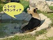 �Ϻ�ܥ��ƥ���in����
