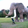 MIXIP in HIROSHIMA