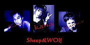 Sheep&Wolf