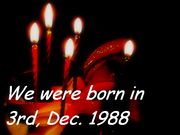 1988年12月3日生まれのヒト