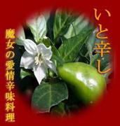 ����ο�̣������"���ȿɤ�"