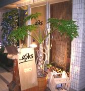 ����⡡�����������Ƽ�