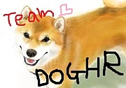 TEAM DOGHR(�եåȥ���)