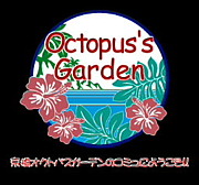 �����Ďʎߎ����ގ��Îގ�