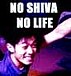 NO SHIVA NO LIFE