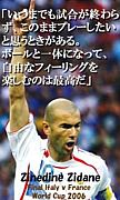 fc�ʎގَÎ�����