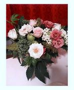 �����Ϥ������