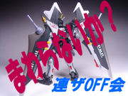 �ގ���鎥�ʎ�����������