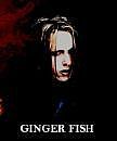 Ginger Fish