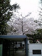 �콻�ȥ饤��Ʊ����
