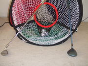 �ȥ�Υߥ˥���ե�å���