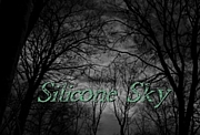 Silicone Sky