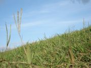 ����ʤ�Τ����ˤ��꤬�Ȥ�