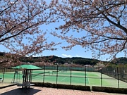 京都・滋賀硬式テニス　ベーグル