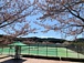 京都・滋賀硬式テニス　ベーグル