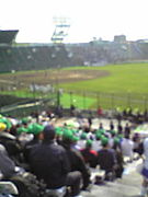 ���յ������������ٱ�����