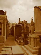 �ޥ�ã��Ǻ�����̼�