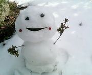 ӥˡ