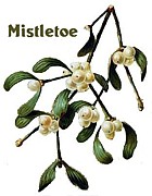 Mistletoe　ヒーリング♪in仙台