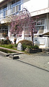 ̯عʿ14ǯ´