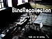BlindRecollection