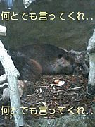 ȤǤäƤ