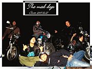 the mad dogs