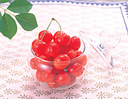 1�����ݼ襫���꡼1000kcal�ʲ�