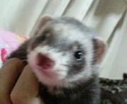 ���Ǥ������