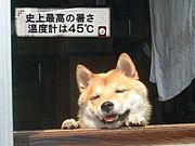 ISC¹԰Ѱζ߻
