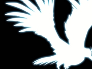 <COD4>PS3White Raven
