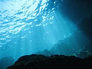 １０F　Diver's community