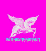 PONY PONY RUN RUN