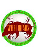 Wild Boars 草野球チーム(西宮)