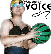 VOICE  (spirit of house music)