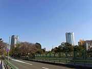 東京フレンドシップラン