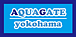 AQUAGATE(����)