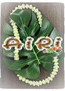 ������β�