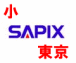 Sapix