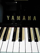 いちゃりばちょ〜で〜☆彡演奏会