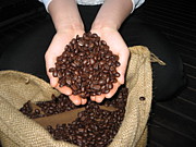 �������Τ�����Υ��ե�������