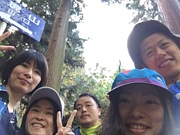 ��ɲ�������л���