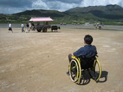 車椅子で行く、沖縄本島、離島