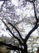 ☆宮城、仙台のいい所☆