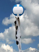 ������ܥХ졼���������ܡ���