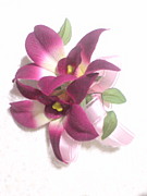 ��ĺ�����Ǹ�ر����ԣȣţ���