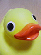 �ե꡼�ϥ����褦����in ����